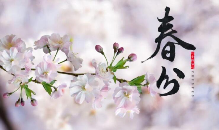 【山東桓藝數(shù)控】春分 | 生活明朗，萬物可愛